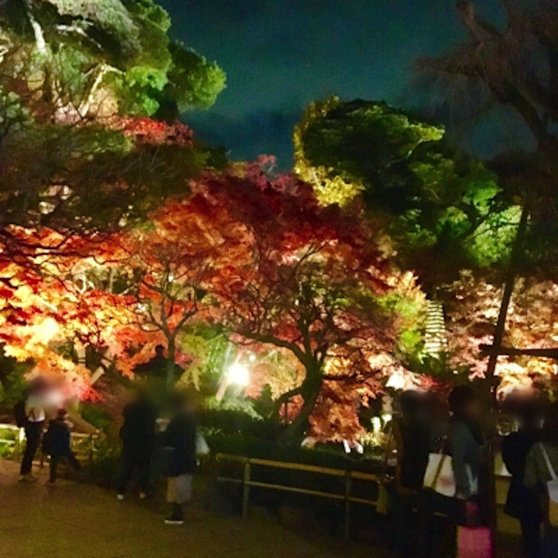 鎌倉長谷寺の紅葉フォトジェニック