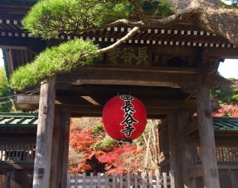 鎌倉長谷寺を観光