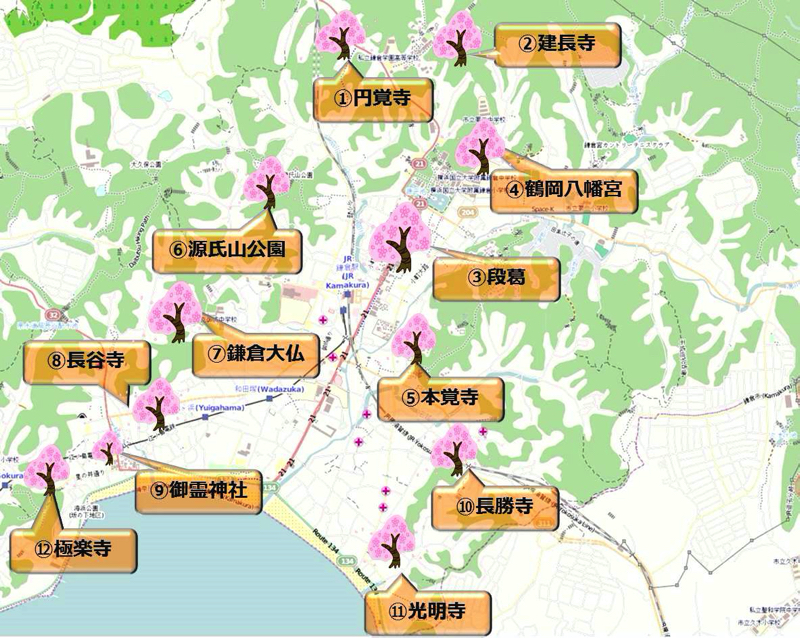 鎌倉桜マップ