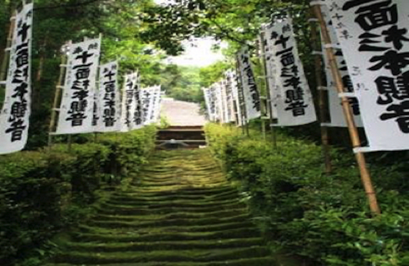杉本寺苔の階段