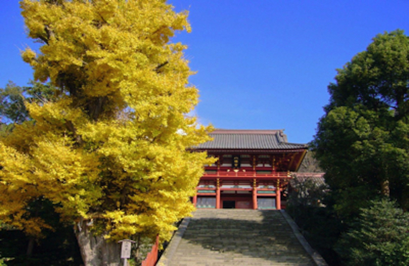 鎌倉鶴岡八幡宮を観光