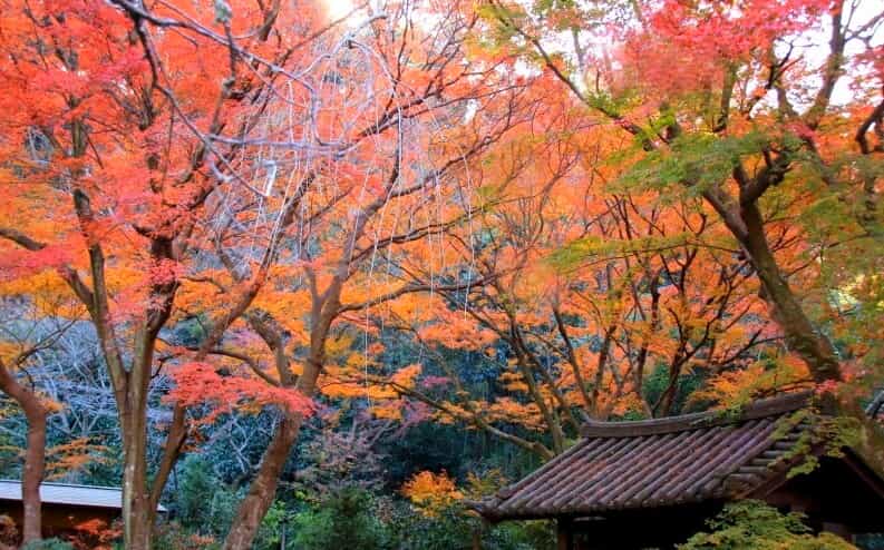 鎌倉瑞泉寺の紅葉