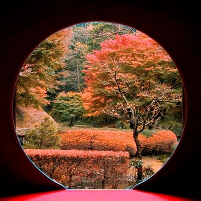 今日の鎌倉の紅葉