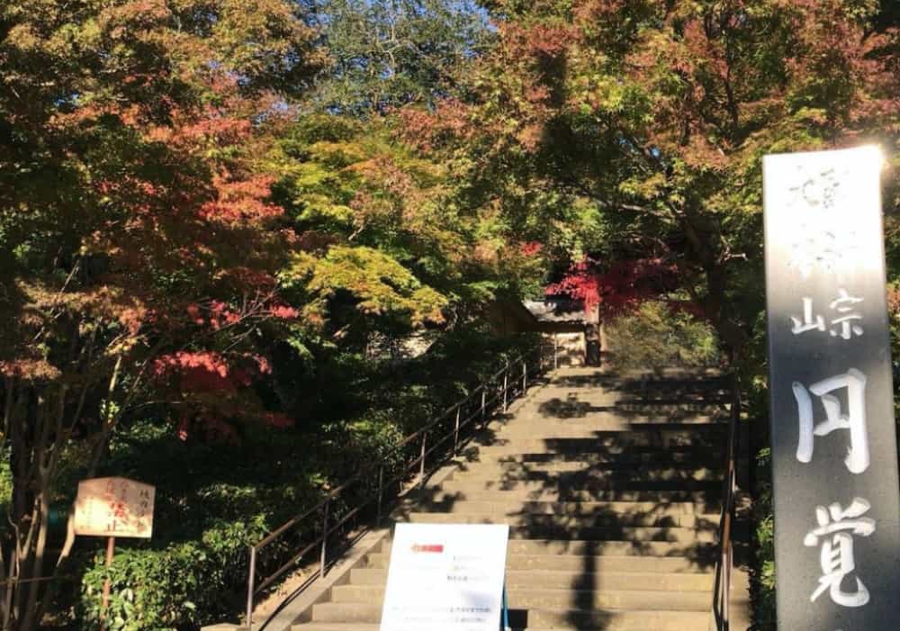 鎌倉の今の紅葉4分