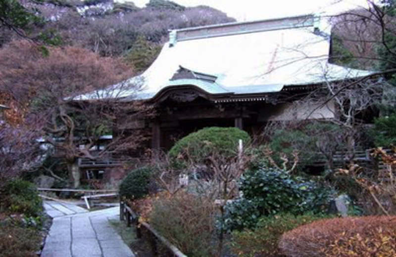 妙法寺 苔寺 こけにおおわれた美しい石段がある鎌倉の寺院じゃ 鎌倉へ行こう かまじいのかまいこネット