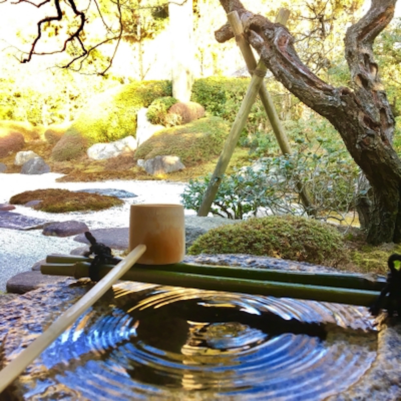 喜泉庵の庭