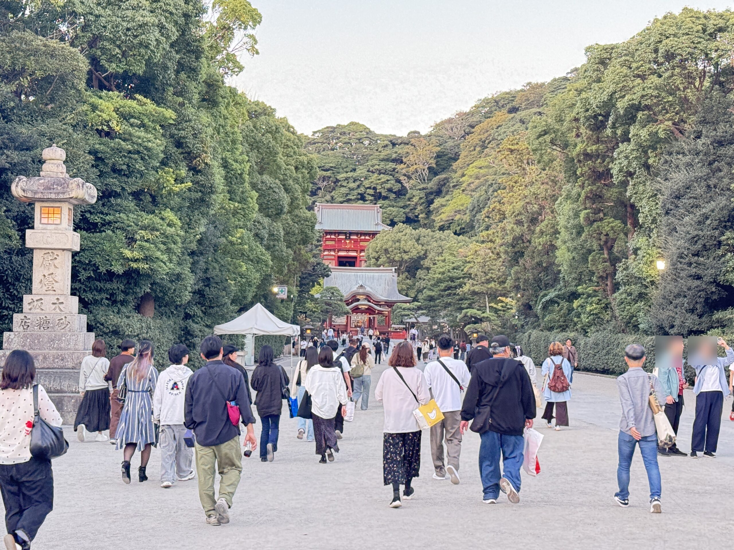 鶴岡八幡宮・参道