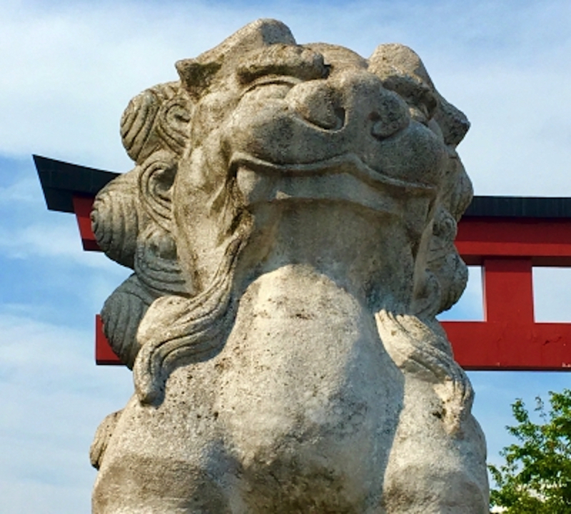 鎌倉段葛のこま犬フォトジェニック