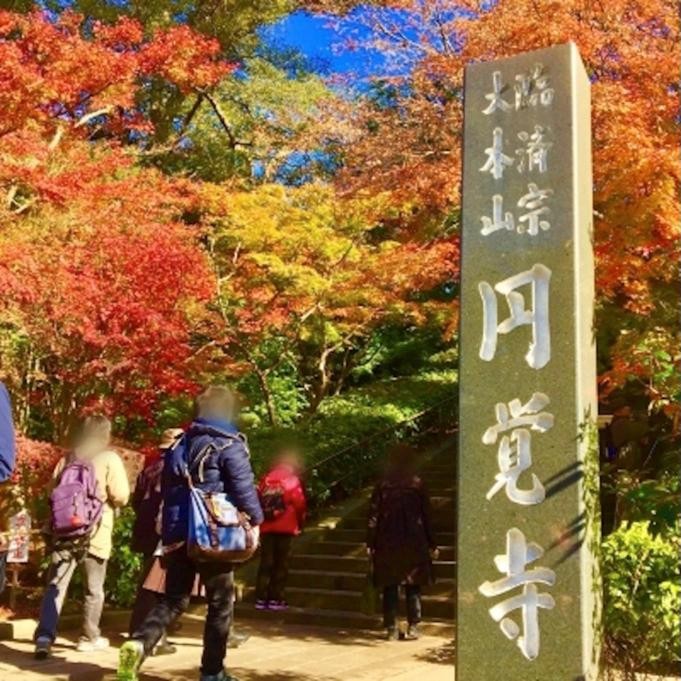鎌倉円覚寺の紅葉