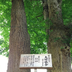 御霊神社