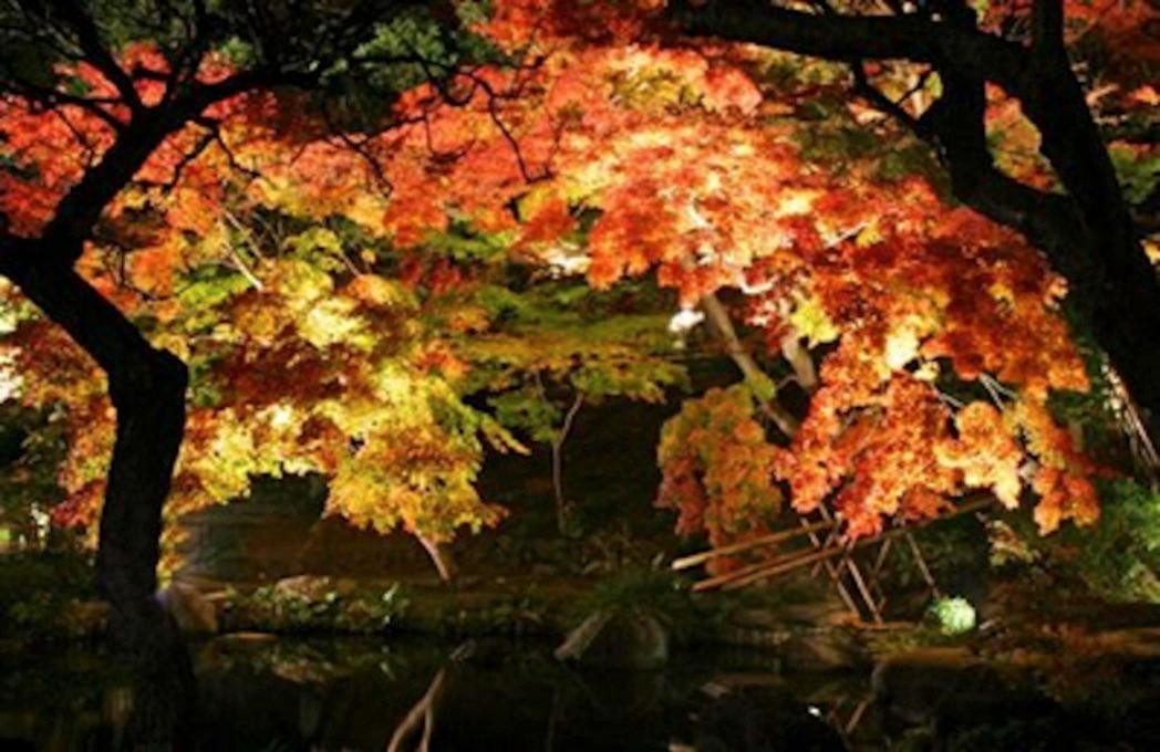 鎌倉長谷寺の紅葉