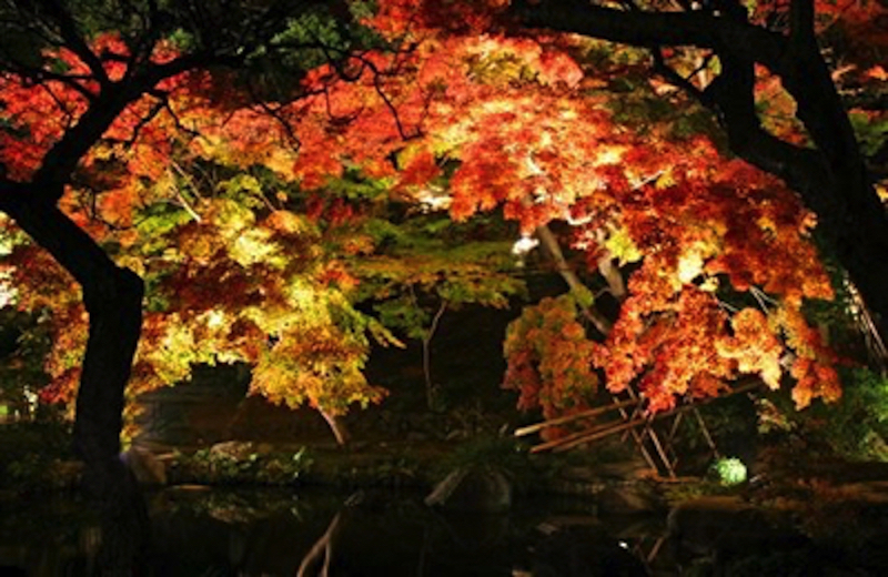 鎌倉長谷寺の紅葉