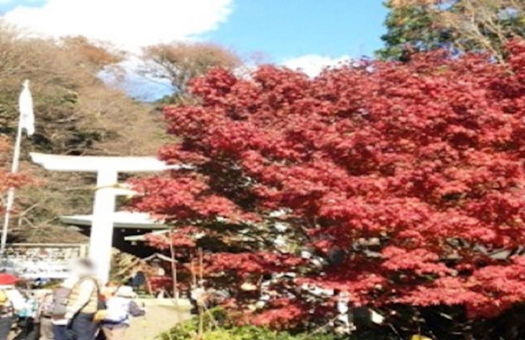 鎌倉鎌倉宮の紅葉