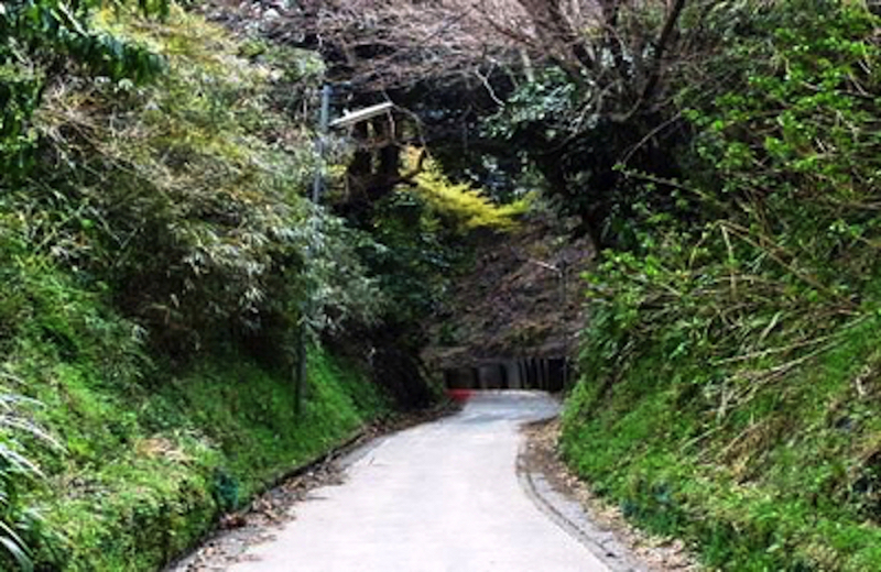 亀ヶ谷切通し