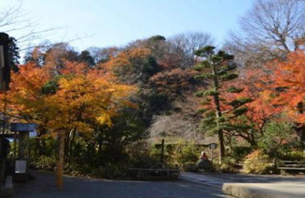 鎌倉建長寺の紅葉