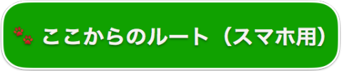 安国論寺までのルートをGoogleマップで見る
