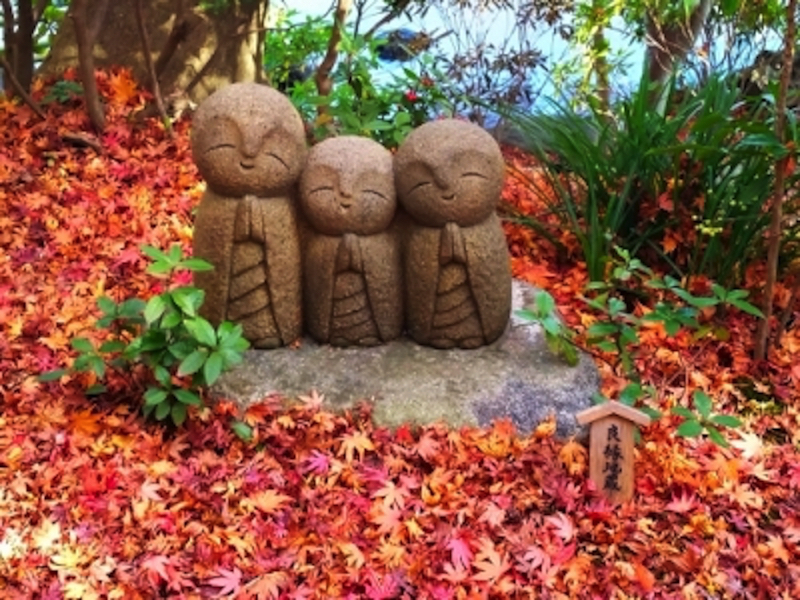 鎌倉長谷寺の良縁地蔵と紅葉
