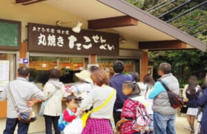あさひ本店 頂上店