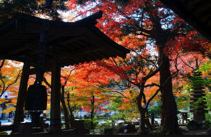 覚園寺（薬師堂・愛染堂）
