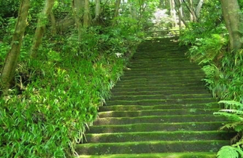 妙法寺　苔の石段