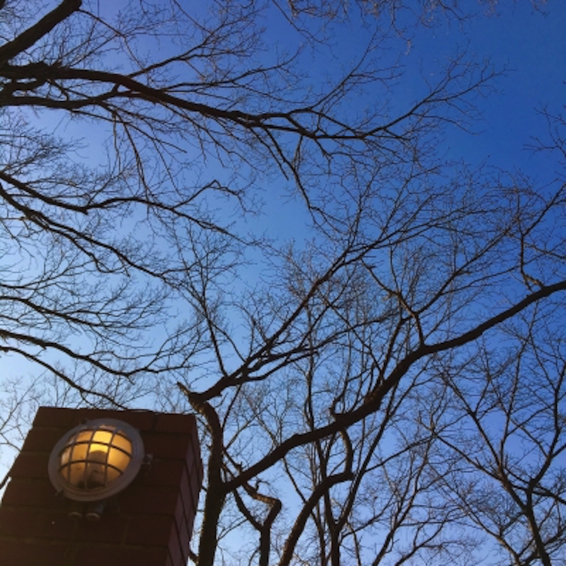 鎌倉樹ガーデンの空
