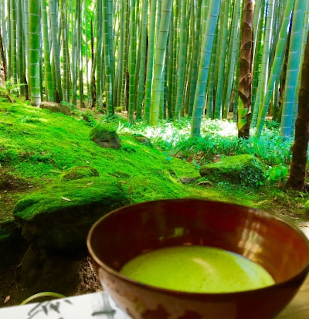 鎌倉のフォトジェニックな観光スポット