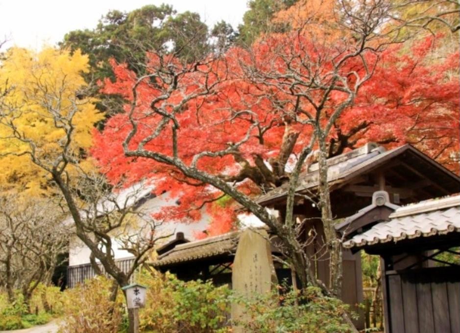 鎌倉東慶寺の紅葉